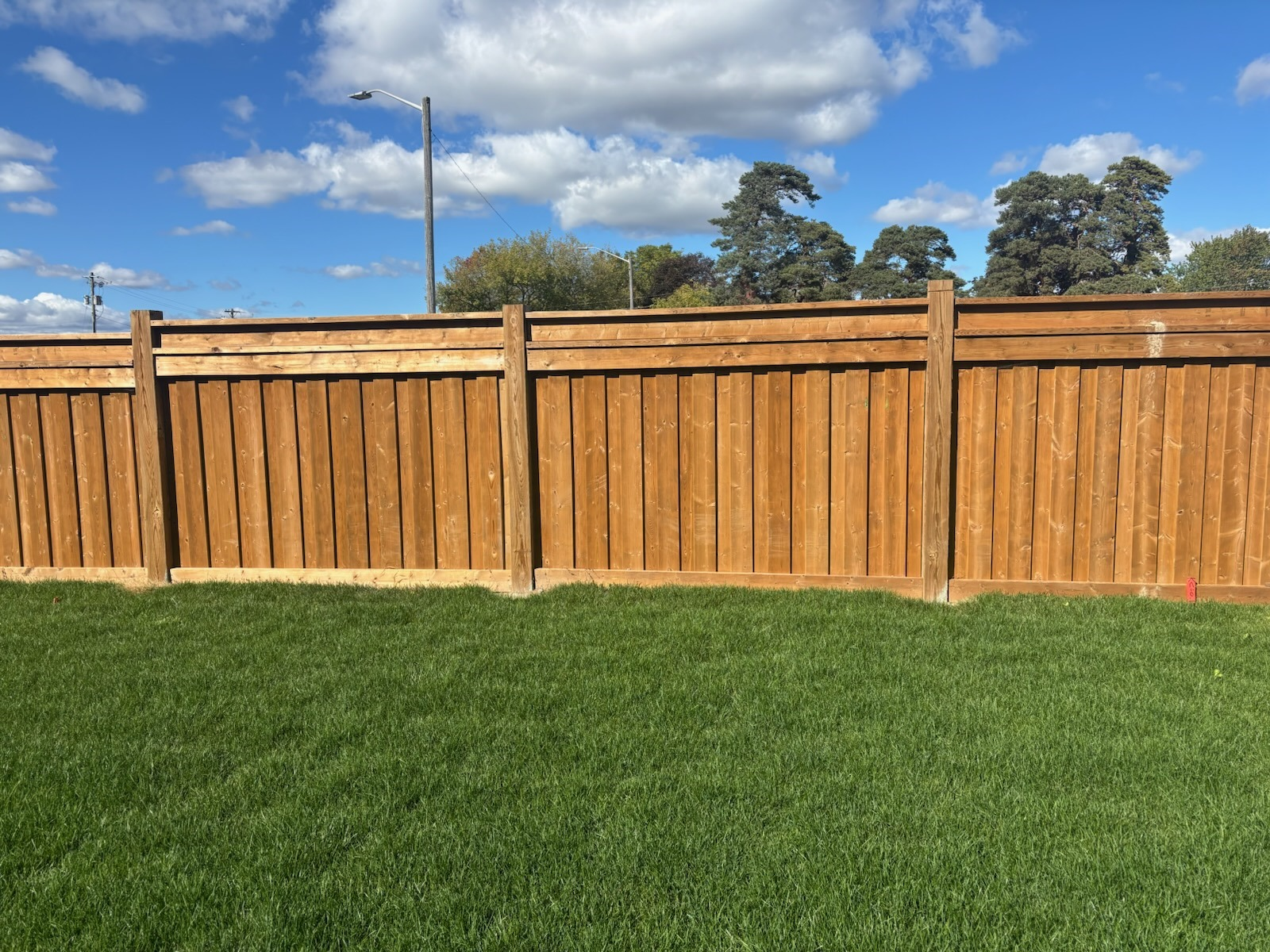 Backyard Cedar Privacy Fence